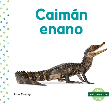 Caimn Enano (Zwergkaiman) - Caimn Enano (Dwarf Caiman)