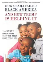 Wie Obama das schwarze Amerika im Stich gelassen hat und wie Trump ihm dabei hilft: Das schmutzige kleine Geheimnis, das die Medien nicht verraten wollen - How Obama Failed Black America and How Trump is Helping It: The Dirty Little Secret that the Media Won't Tell You