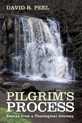 Pilgrims Prozess - Pilgrim's Process