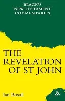 Ein Kommentar zur Offenbarung des Heiligen Johannes - A Commentary on the Revelation of St John