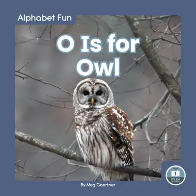 O steht für Eule - O Is for Owl