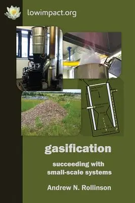 Vergasung: Erfolgreich mit kleinen Systemen - Gasification: succeeding with small-scale systems