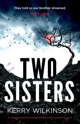 Zwei Schwestern: Ein fesselnder Psychothriller mit einer schockierenden Wendung - Two Sisters: A gripping psychological thriller with a shocking twist