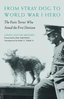 Vom streunenden Hund zum Helden des Ersten Weltkriegs: Der Pariser Terrier, der sich der Ersten Division anschloss - From Stray Dog to World War I Hero: The Paris Terrier Who Joined the First Division