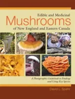 Essbare Pilze und Heilpilze aus Neuengland und Ostkanada: Ein fotografischer Leitfaden zum Auffinden und Verwenden der wichtigsten Arten - Edible and Medicinal Mushrooms of New England and Eastern Canada: A Photographic Guidebook to Finding and Using Key Species