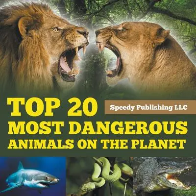 Top 20 der gefährlichsten Tiere auf dem Planeten - Top 20 Most Dangerous Animals On The Planet