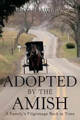 Adoptiert von den Amischen: Die Pilgerreise einer Familie in die Vergangenheit - Adopted by the Amish: A Family's Pilgrimage Back in Time
