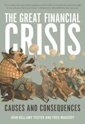 Die große Finanzkrise: Ursachen und Folgen - The Great Financial Crisis: Causes and Consequences