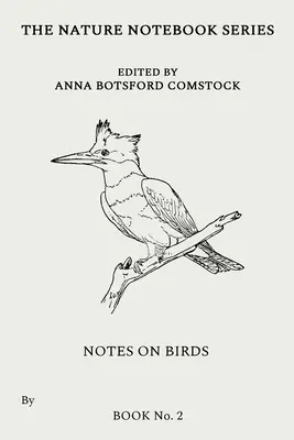 Anmerkungen zu Vögeln 2 - Notes on Birds 2