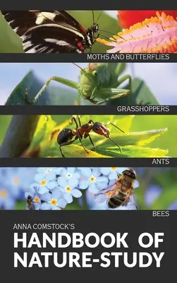 Das Handbuch der Naturkunde in Farbe - Insekten - The Handbook Of Nature Study in Color - Insects