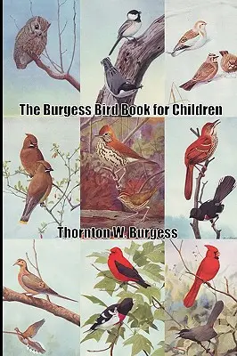 Das Burgess-Vogelbuch für Kinder - The Burgess Bird Book for Children