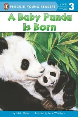 Ein Panda-Baby wird geboren - A Baby Panda Is Born