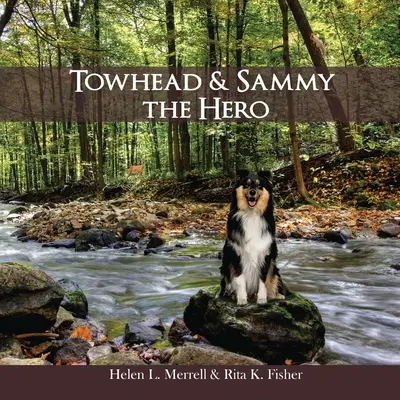 Towhead und Sammy Der Held - Towhead and Sammy The Hero
