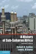 Eine Geschichte von Afrika südlich der Sahara - A History of Sub-Saharan Africa