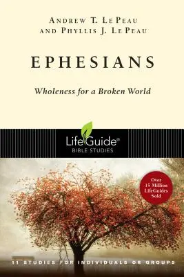Epheserbrief: Ganzheitlichkeit für eine zerbrochene Welt - Ephesians: Wholeness for a Broken World
