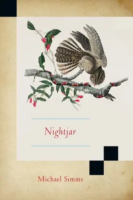 Nachtschwalbe - Nightjar