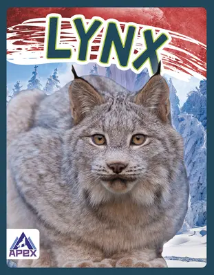 Luchs - Lynx