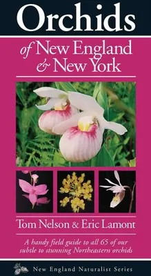 Orchideen in Neuengland und New York - Orchids of New England & New York