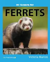 Mein liebstes Haustier: Frettchen - My Favorite Pet: Ferrets