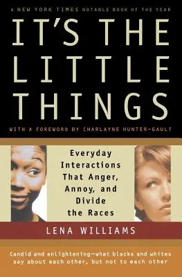 Es sind die kleinen Dinge: Alltägliche Interaktionen, die die Ethnien verärgern, verärgern und entzweien - It's the Little Things: Everyday Interactions That Anger, Annoy, and Divide the Races