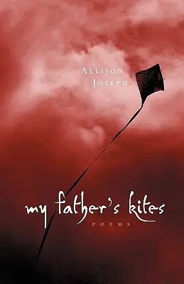 Die Drachen meines Vaters - My Father's Kites