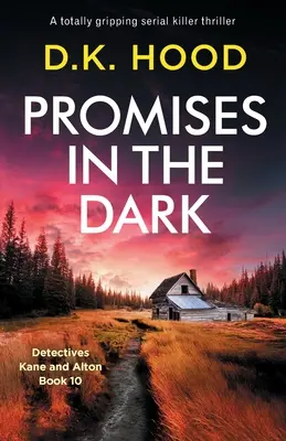 Promises in the Dark: Ein absolut fesselnder Serienkiller-Thriller - Promises in the Dark: A totally gripping serial killer thriller