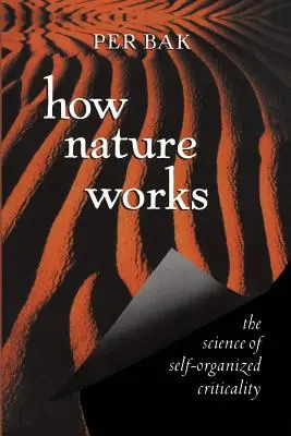 Wie die Natur funktioniert: Die Wissenschaft der selbstorganisierten Kritikalität - How Nature Works: The Science of Self-Organized Criticality
