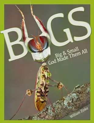 Große und kleine Käfer: Gott hat sie alle gemacht - Bugs Big & Small: God Made Them All