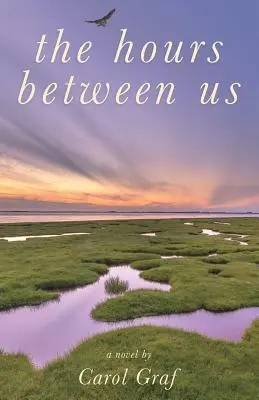 Die Stunden zwischen uns - The Hours Between Us