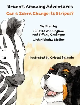 Kann ein Zebra seine Streifen ändern? - Can a Zebra Change its Stripes?