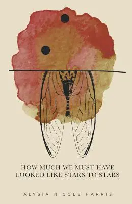 Wie sehr müssen wir den Stars wie Stars vorgekommen sein: Gewinnerin der 2015 New Women's Voices Series - How Much We Must Have Looked Like Stars To Stars: Winner of the 2015 New Women's Voices Series