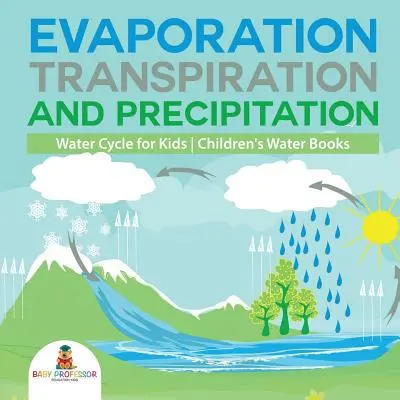 Verdunstung, Transpiration und Niederschlag - Wasserkreislauf für Kinder - Wasserbücher für Kinder - Evaporation, Transpiration and Precipitation - Water Cycle for Kids - Children's Water Books
