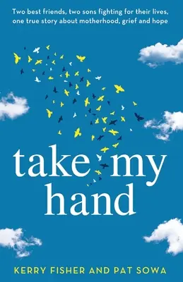 Nimm meine Hand: Zwei beste Freundinnen, zwei Söhne, die um ihr Leben kämpfen, eine wahre Geschichte über Mutterschaft, Trauer und Hoffnung. - Take My Hand: Two best friends, two sons fighting for their lives, one true story about motherhood, grief and hope.