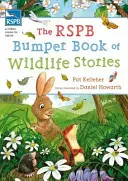 RSPB Stoßstangenbuch der Wildtiergeschichten (Kelleher Pat (Autor)) - RSPB Bumper Book of Wildlife Stories (Kelleher Pat (Author))