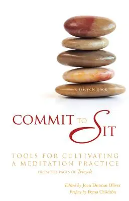 Sich zum Sitzen verpflichten: Werkzeuge zur Kultivierung einer Meditationspraxis - Commit to Sit: Tools for Cultivating a Meditation Practice