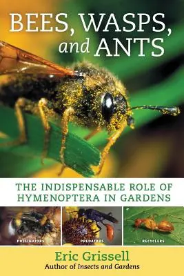 Bienen, Wespen und Ameisen: Die unverzichtbare Rolle der Hymenopteren im Garten - Bees, Wasps, and Ants: The Indispensable Role of Hymenoptera in Gardens