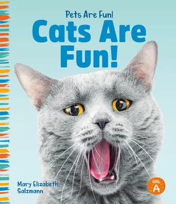 Katzen sind lustig! - Cats Are Fun!