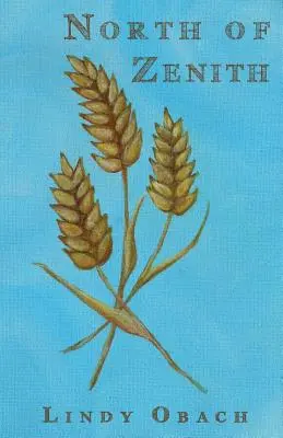 Nördlich von Zenith - North of Zenith