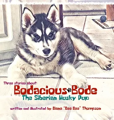 Bode - der sibirische Husky-Welpe - Bodacious Bode - The Siberian Husky Pup