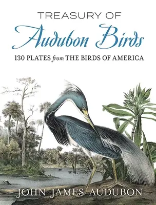 Schatzkammer der Vögel von Audubon: 130 Tafeln der Vögel Amerikas - Treasury of Audubon Birds: 130 Plates from the Birds of America