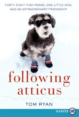 Nachfolge von Atticus LP - Following Atticus LP