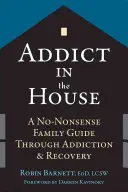 Süchtiger im Haus: Ein No-Nonsense-Familienführer durch Sucht und Genesung - Addict in the House: A No-Nonsense Family Guide Through Addiction and Recovery