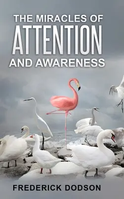 Die Wunder der Aufmerksamkeit und des Gewahrseins - The Miracles of Attention and Awareness
