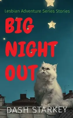 Big Night Out: Geschichten aus der Lesben-Abenteuer-Serie - Big Night Out: Lesbian Adventure Series Stories