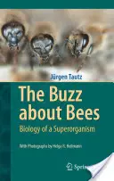 Der Buzz über Bienen: Biologie eines Superorganismus - The Buzz about Bees: Biology of a Superorganism