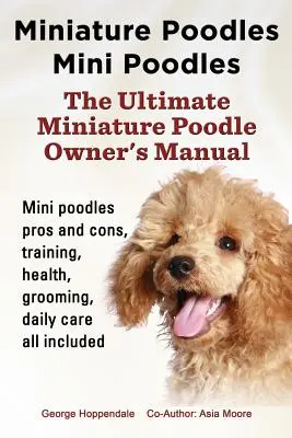 Zwergpudel Mini-Pudel. Vor- und Nachteile von Zwergpudeln, Training, Gesundheit, Pflege, tägliche Pflege. - Miniature Poodles Mini Poodles. Miniature Poodles Pros and Cons, Training, Health, Grooming, Daily Care All Included.