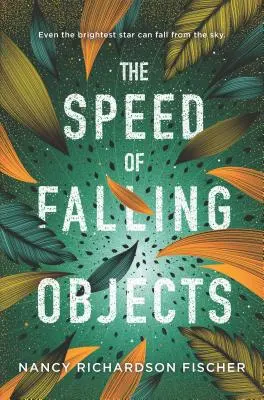 Die Geschwindigkeit von fallenden Objekten - The Speed of Falling Objects
