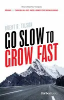 Langsam gehen, um schnell zu wachsen: Wie Sie Ihr Unternehmen in einer schnelllebigen, wettbewerbsorientierten Geschäftswelt vorantreiben und zum Erfolg führen - Go Slow to Grow Fast: How to Keep Your Company Driving and Thriving in a Fast-Paced, Competitive Business World