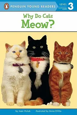 Warum miauen Katzen? - Why Do Cats Meow?