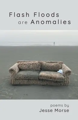 Sturzfluten sind Anomalien - Flash Floods are Anomalies